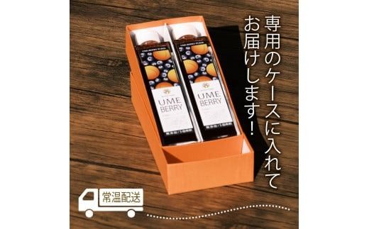 梅ベリーピューレ UMEBERRY 2本セット 315ml×2本 無添加 5倍希釈 フルーツ 果物 梅 うめ 完熟梅 ブルーベリー ジュース シロップ 贈り物 割材 炭酸割 お酒割 焼酎 ヨーグルト 牛乳 カクテル 京都府 京丹波 