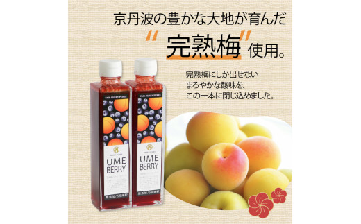 梅ベリーピューレ UMEBERRY 2本セット 315ml×2本 無添加 5倍希釈 フルーツ 果物 梅 うめ 完熟梅 ブルーベリー ジュース シロップ 贈り物 割材 炭酸割 お酒割 焼酎 ヨーグルト 牛乳 カクテル 京都府 京丹波 