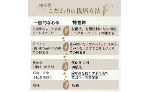 お米【神喜舞】精米 5kg [令和６年産]《 神喜米 お米 精米 5キロ 米 おこめ 国産 送料無料 ヒノヒカリ 》【2401B08412】