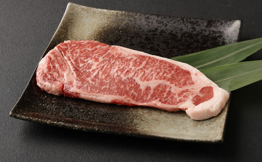 【定期便12か月】 あか牛 サーロイン 肉 1kg 馬刺し 300g 食べ比べ セット