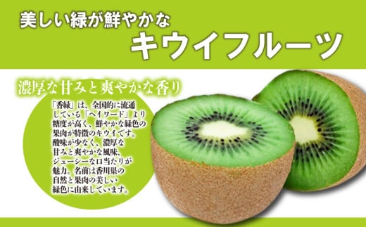 先行予約 キウイ 約1.4kg キウイフルーツ グリーンキウイ 香緑キウイ 果物 果実 フルーツ 旬 デザート 選べる 容量 11月下旬～1月中旬 配送 家庭用 贈答用 ギフト プレゼント 香川県 丸亀市