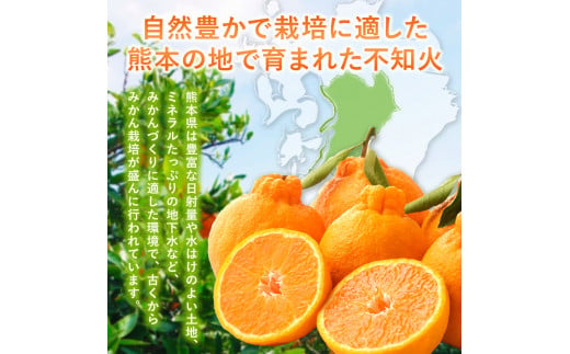 【 ご家庭用 訳あり 】 不知火 5kg （ デコポン と同品種 ) | 果物 くだもの フルーツ 柑橘 柑橘類 みかん 訳あり でこみかん 熊本県産 生産量全国一位！