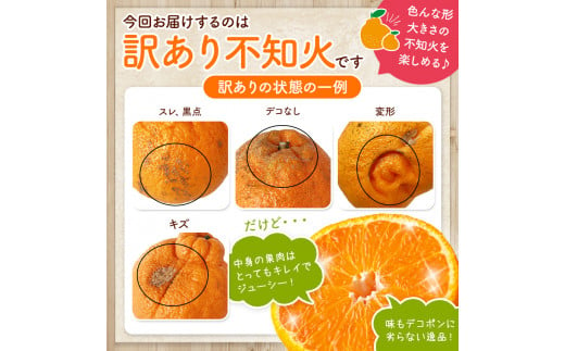 【 ご家庭用 訳あり 】 不知火 5kg （ デコポン と同品種 ) | 果物 くだもの フルーツ 柑橘 柑橘類 みかん 訳あり でこみかん 熊本県産 生産量全国一位！