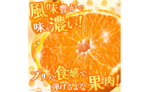 【 ご家庭用 訳あり 】 不知火 5kg （ デコポン と同品種 ) | 果物 くだもの フルーツ 柑橘 柑橘類 みかん 訳あり でこみかん 熊本県産 生産量全国一位！