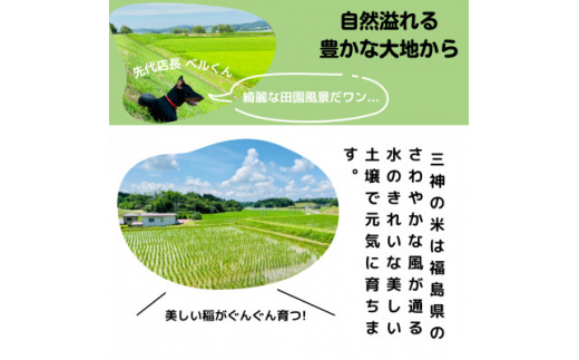 ＜発送月固定定期便＞11月・1月・3月発送　農家直送 食味ランクS・大粒コシヒカリ精米10kg全3回【4055776】