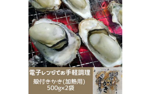 白方かき 電子レンジでお手軽調理　殻付きかき(加熱用)　500g×2袋【令和7年1月頃から4月頃までの期間限定出荷】【L-31】