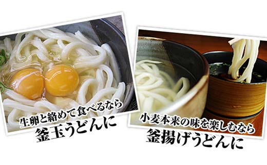 さぬき醤油うどん (4500g) 蔵出し一番付 (うどん250g×18袋、蔵出し一番100ml×7本) セット 詰合せ さぬきうどん 讃岐 うどん ぶっかけ だし醤油 麺 名物 ご当地 グルメ 食品 四国 F5J-334