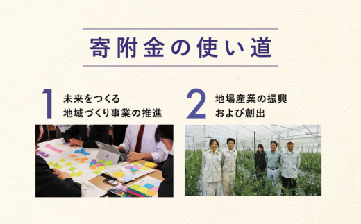 【返礼品なし】長崎県小値賀町 ふるさと応援寄附金（3,000円分） [DYZ002]