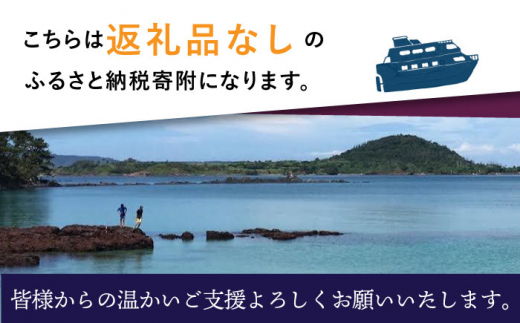 【返礼品なし】長崎県小値賀町 ふるさと応援寄附金（3,000円分） [DYZ002]