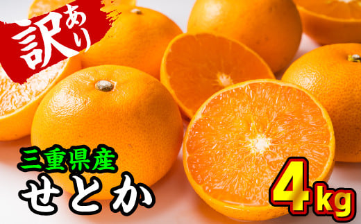 濃厚な甘み × トロトロ食感！柑橘の大トロとも呼ばれる究極のミカン
※当商品は訳あり商品です。納得の上、お申し込みください。