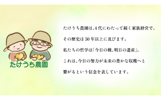 独特の甘さ ジューシーな食感 「 幸水 」 梨 3Kg 減農薬 果物 フルーツ なし ナシ [DC005ci]