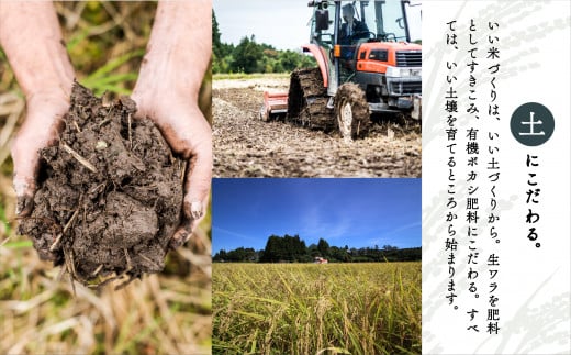 【定期便】山里清流米こしひかり玄米 5kg×12回（毎月） コシヒカリ お米 12ヵ月 