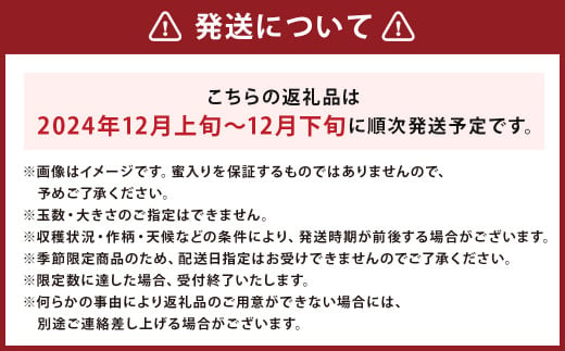 二戸産りんご サンふじ 約10kg