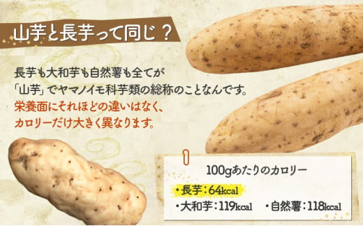 【2ヶ月定期便】青森県産 冷凍長芋とろろ 50g×36個【青森県産とろろ 定期便 冷凍 長芋 山芋 青森 七戸町 送料無料 小分け プレーン 無添加 個梱包 とろろパック ご飯のお供】【02402-0322】