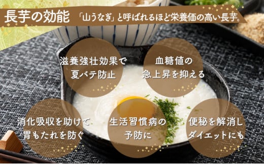 【2ヶ月定期便】青森県産 冷凍長芋とろろ 50g×36個【青森県産とろろ 定期便 冷凍 長芋 山芋 青森 七戸町 送料無料 小分け プレーン 無添加 個梱包 とろろパック ご飯のお供】【02402-0322】