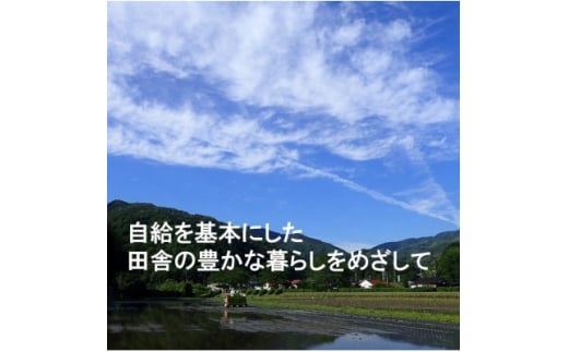 ＜栽培期間中化学肥料・化学農薬不使用＞令和6年産R1米コシヒカリ5kg(精米)【1448692】