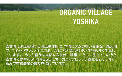 ＜栽培期間中化学肥料・化学農薬不使用＞令和6年産R1米コシヒカリ5kg(精米)【1448692】