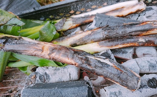 ＼テレビ朝日「1泊家族」で紹介されました／ 朝来市特産【岩津ねぎ】3kg（箱入り）【342134】先行予約 岩津ねぎ 岩津ネギ 新鮮 国産 甘い 太い 柔らかい 香り豊か 幻のねぎ 天ぷら 鍋 焼きねぎ ネギ すき焼き 朝来市 限定 TVで紹介