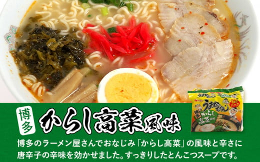 食べ比べ セット うまかっちゃん 豚骨ラーメン 10食 からし高菜風味5食 濃厚新味5食 計20食セット 博多ラーメン 博多らーめん とんこつラーメン ラーメン 豚骨 麺 福岡県 福岡 九州 グルメ お取り寄せ 詰め合わせ 食べくらべ