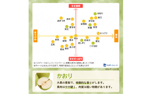 【かおり3kg】かまがや育ちの完熟梨（梨業組合）