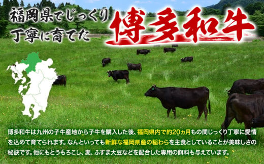 博多和牛切り落としミックス 500g × 2《60日以内に出荷予定(土日祝除く)》牛 牛肉 切り落とし 和牛 博多 博多和牛 セット 富士商株式会社 送料無料