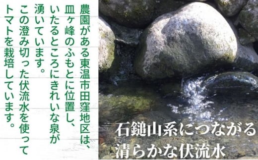 「栗林農園」素のままパスタソースとトマトベリーと紅まどんなのセット [№5303-0140]