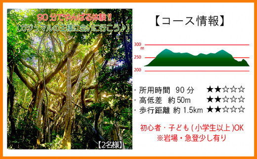 沖縄県北部やんばる・ガジュマルの王様に会いに行こう♪【2名様】