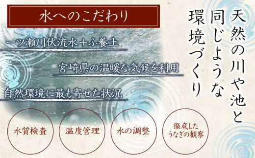 味鰻 鰻丼の素 4袋 備長炭火焼 職人手焼き 合計2尾使用 宮崎県産うなぎ きざみ【B540-2311】