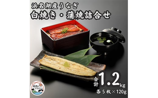 浜名湖産うなぎ　白焼・蒲焼パック各5パック詰合せ【1488846】