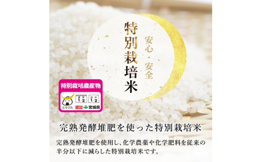 【令和6年産新米】特別栽培米 つや姫 7kg お米 おこめ 米 コメ 白米 ご飯 ごはん おにぎり お弁当【農事組合法人若木の里】ta239