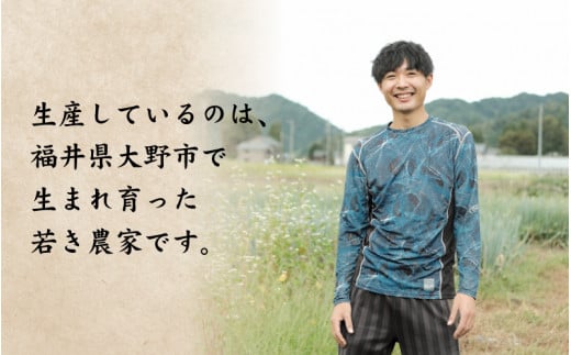 【先行予約】【訳あり】越前大野産 「純ちゃん農園の里芋3kg」サイズS～LL寸【10月下旬より順次発送】