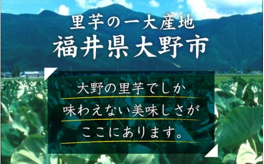 【先行予約】【訳あり】越前大野産 「純ちゃん農園の里芋3kg」サイズS～LL寸【10月下旬より順次発送】