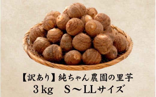 【先行予約】【訳あり】越前大野産 「純ちゃん農園の里芋3kg」サイズS～LL寸【10月下旬より順次発送】