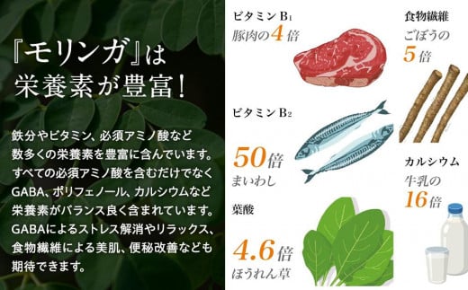 佐多岬 モリンガパウダー 150g (50g×3袋)