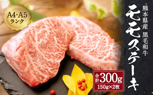 熊本県産 黒毛和牛 和王 モモ ステーキ 300g 150g×2 牛肉