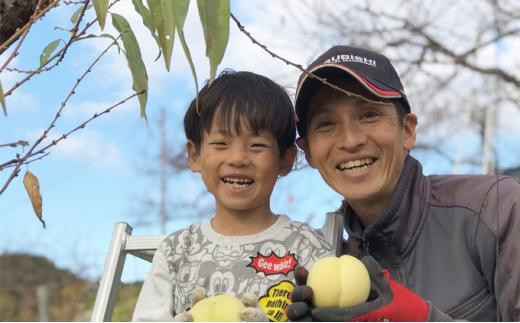 桃［2024年先行予約］岡山の 白桃 約1.4kg 4～6玉 贈答用 岡山市一宮産 きびファーム美果美香