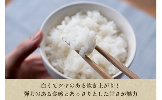 【令和6年産新米】【定期便3回隔月お届け】新潟県産 コシヒカリ（従来品種）精米3kg（3kg×1袋）《順次発送》 精米 白米 きのこ農家ならではの有機質肥料 お米 新潟産 コシヒカリ 加茂市 青木農園