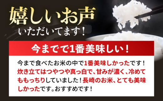 特A にこまる 10kg《壱岐市》【ヤマグチ】[JCG010] 壱岐産 米 お米 ご飯 ごはん 白米 精米 10キロ 18000 18000円