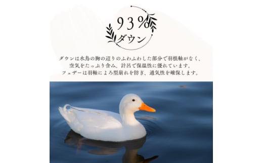 羽毛布団シングル二枚合わせ超長綿60番手生地使用オールシーズンダウン93%合掛1.0kg肌0.3kg【1107504】