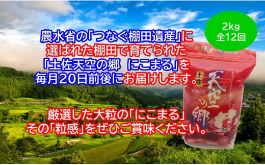 2010年・2016年 お米日本一コンテスト inしずおか 特別最高金賞受賞 土佐天空の郷　にこまる 2kg　毎月お届け全12回