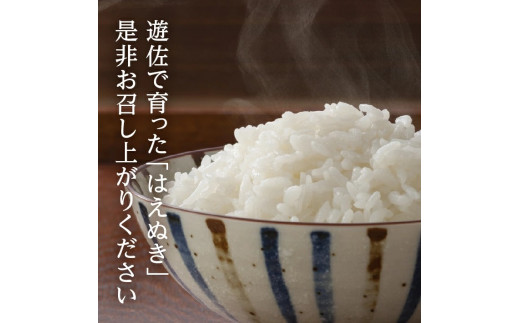 1058R06M11c　遊佐産はえぬき10kg（令和6年産米）11月下旬