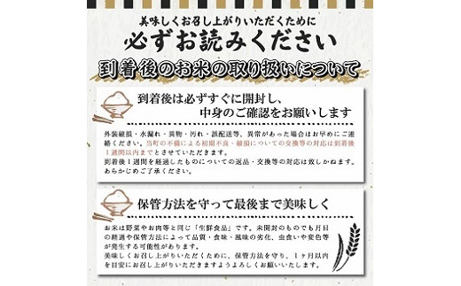 1058R06M11c　遊佐産はえぬき10kg（令和6年産米）11月下旬