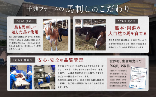 【5ヶ月毎3回定期便】鮮馬刺し 希少生食用馬レバー ブロック 計約240g