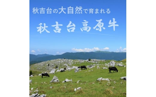 数量限定 秋吉台 高原牛 切り落とし 合計 1kg ( 約 500g × 2 ) ｜ 山口県 お礼の品 返礼品 山口 美祢市 お肉 肉 牛肉 切り落とし 食べ物 牛 にく 国産 国産牛 国産牛肉 お取り寄せ 特産品 名産品 取り寄せ 長州 ブランド 1kg