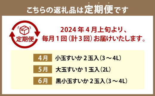 【3ヶ月定期便】熊本県 合志産 すいか