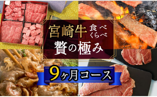 9回 定期便 宮崎牛 食べ比べ 贅の極み 9ヶ月 コース 合計 5.48kg [SHINGAKI 宮崎県 美郷町 31ag0086] 牛肉 宮崎牛 希少 部位 焼肉 鉄板焼き ステーキ 黒毛 和牛 国産 宮崎 A4 A5等級 牛 宮崎県産 冷凍 送料無料 ブランド 牛 肉 霜降り BBQ バーベキュー キャンプ ギフト プレゼント