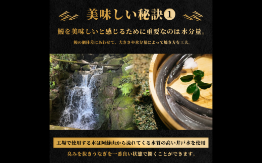 鰻の名店『うな雅』が手がける 国産手焼き鰻蒲焼き 3尾 450g～500g 秘伝のたれ 山椒 付き ! うなぎ 鰻 手焼き 国産 熊本 美里町 熊本県 蒲焼 かば焼き タレ 土用の 丑の日 お取り寄せ グルメ ウナギ たれ 送料無料 特産品 国産 九州 蒲焼 冷凍 鰻丼 鰻重