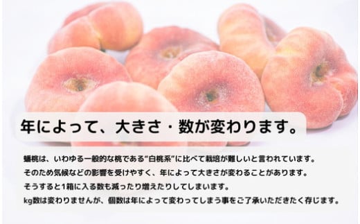 ◆2025年夏発送◆＜ 蟠桃・約2kg ＞ ※離島への配送不可 ※2025年7月下旬～8月中旬頃に順次発送予定｜先行予約 予約 数量限定 桃 もも モモ 果物 くだもの フルーツ 詰め合わせ 福島 ふくしま