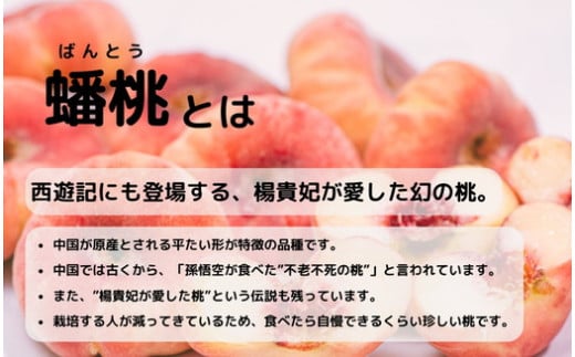 ◆2025年夏発送◆＜ 蟠桃・約2kg ＞ ※離島への配送不可 ※2025年7月下旬～8月中旬頃に順次発送予定｜先行予約 予約 数量限定 桃 もも モモ 果物 くだもの フルーツ 詰め合わせ 福島 ふくしま