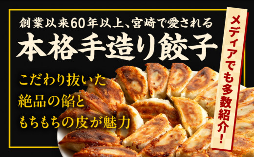 【定期便偶数月】宮崎餃子専門店・黒兵衛・餃子10パック（100個）×隔月6回_M126-T004